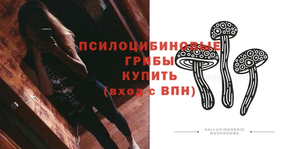 молекула духа Горняк