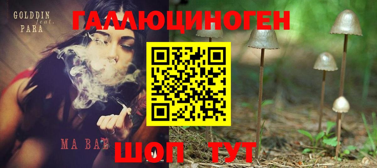 Москва  Псилоцибиновые грибы мухоморы  Вход с VPN  Псилоцибиновые грибы Magic Shrooms 