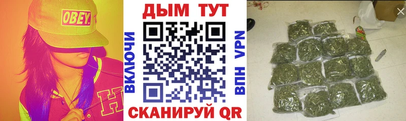 Шишки марихуана сатива  Москва 